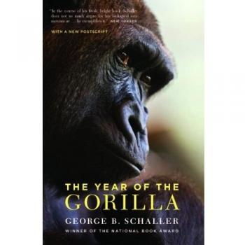 The Year of the Gorilla