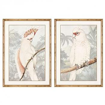 Cuadro Loro Tropical 50 x 3 x 70 cm (2 Unidades) DKD Home Decor