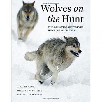 Wolves on the Hunt: The Behavior of Wolves Hunting Wild Prey - University of Chicago Press