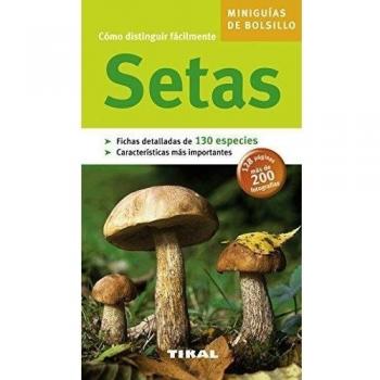 Setas - Varios Autores