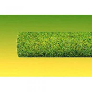 Desconocido Ziterdes 12096 - Victoria Alfombra Juego 180 x 120 cm, de Color Verde Medio [Importado de Alemania]