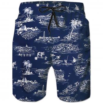 Goodstoworld Hombre Bañador Shorts 3D Playa Natacion Pantalon Corto Poliéster Secado Rápido Ligero Bermuda Moda Shorts