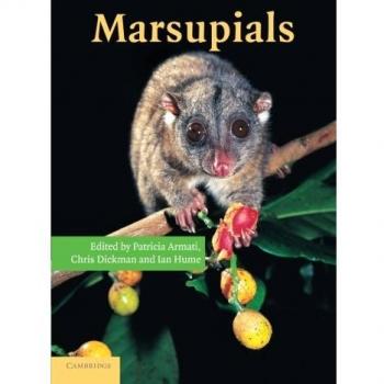 Marsupiales - Cambridge University Press - Edición en Inglés - Tapa Blanda