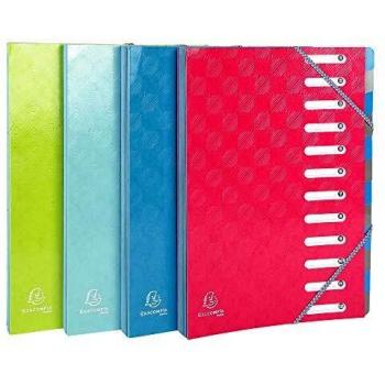 Exacompta 56220E - Carpeta extensible con 12 compartimentos