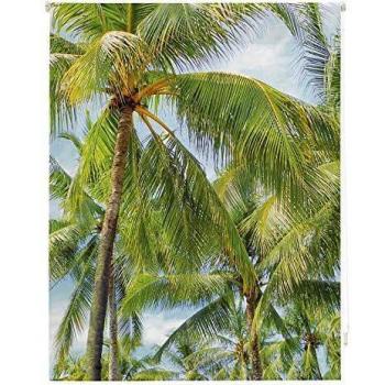 Homeflex Storalia - Estor Digital Salon Miami - Enrollable - 150X180 cm - Disponible en Varias Medidas