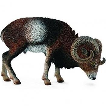 Collecta - Muflon Europeo -L- 88682