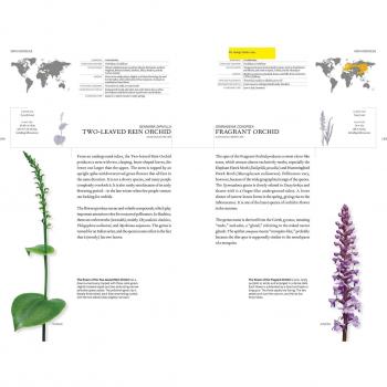 The Book of Orchids: A life-size guide to six hundred species from around the world