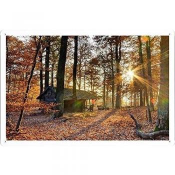 Metal cartel Cartel de chapa Hojalata sesión Forest House Trees Autumn Light October Falling Leaves 48145 Retro Vintage Pared Decoración by hamgaacaan