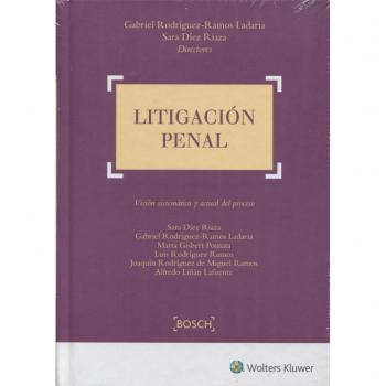 Litigación penal: Visión sistemática y actual del proceso