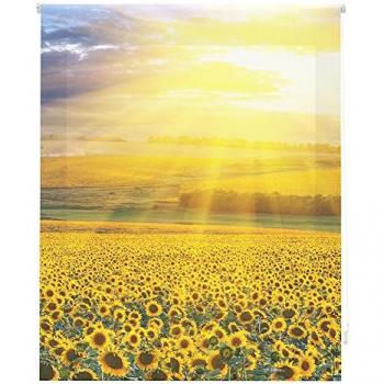 Estor Enrollable Traslúcido Estampado Digital de Paisajes 160x180cm HAPPYSTOR HSP93005