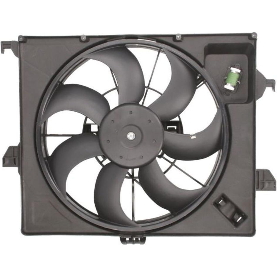 Imagen Principal