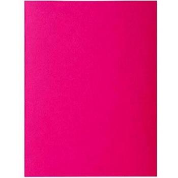 Exacompta 217120E - Lote de 10 Subcarpetas RockS 220, Color Rosa