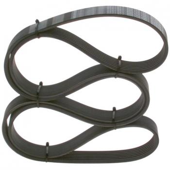 Correa trapecial poli V BOSCH 1 987 947 556