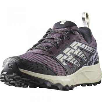 Zapatillas de Trail Running Salomon Wander Violeta 38