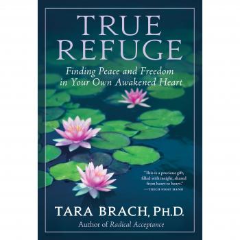 True Refuge: Finding Peace and Freedom in Your Own Awakened Heart