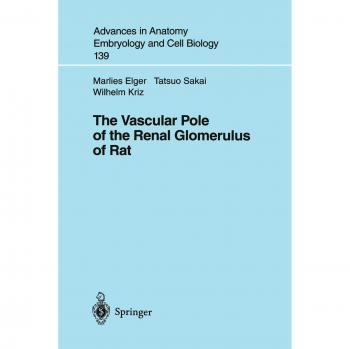The Vascular Pole of the Renal Glomerulus of Rat