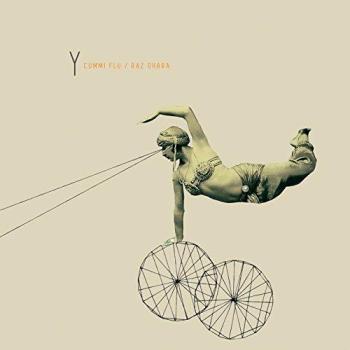Y Vinyl