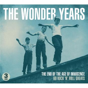 Various The Wonder Years Music CD