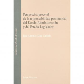 Perspectiva procesal de la responsabilidad patrimonial