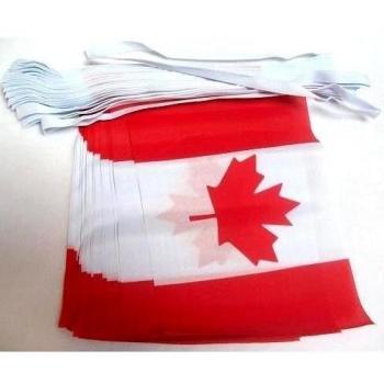 AZ FLAG Guirnalda 6 Metros 20 Banderas de CANADÁ 21x15cm - Bandera Canadiense 15 x 21 cm - BANDERINES