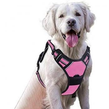Arnes Perro Grande, Arnes de Perro Antitirones Cómodo Chaleco Ajustable Correa al Cuello y Pecho para Perros Grande Material Duradero Transpirable con Cinta Reflectante Adaptarse a Ejercer Externo