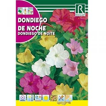 SEMILLA Don Diego Noche VAR 10ud