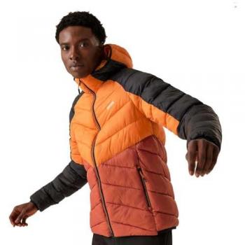 Regatta Men's Lightweight Insulated Water-Repellent Hooded Jacket - Dalent Series in Fox Red Ochre, Size M