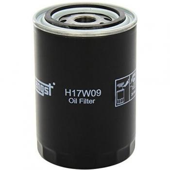Filtro de aceite HENGST FILTER H17W09