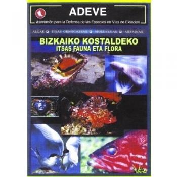 Bizkaiko Kostaldeko Itsas Fauna