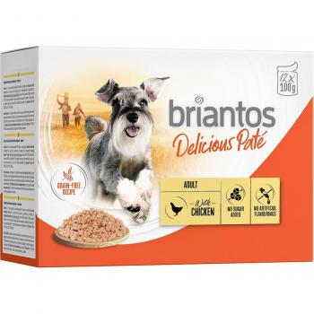 Briantos Delicious Paté de Pollo 48 x 100 g comida húmeda a precio especial