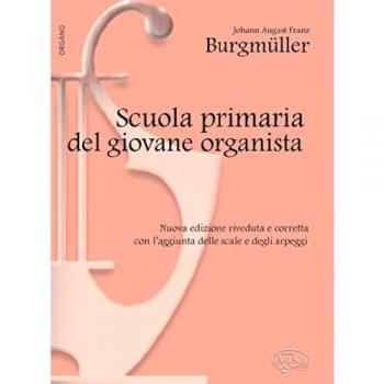 Scuola primaria giovane organista