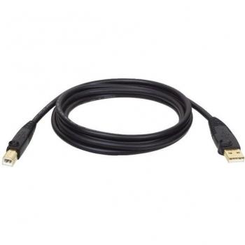 Tripp Lite U022-006 USB 2.0 A to B Cable (M/M) 6 ft