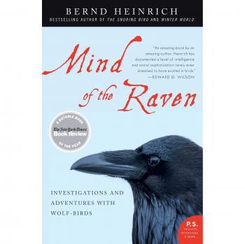 Mind of the Raven: Investigations and Adventures with Wolf-Birds