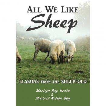 All We Like Sheep: Insights and Lessons from the Sheepfold by Marilyn Bay Wentz