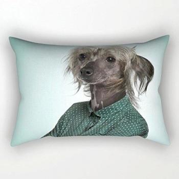 Cojín Casos de perros, mejor para decoración del hogar, sofá, Arbor Day, Cine en Casa, regalo para niño amigo, asiento, todas Fool 's Day Decoración del dormitorio, hotel, silla, 18 x 26 pulgadas/45 impreso por 65 cm