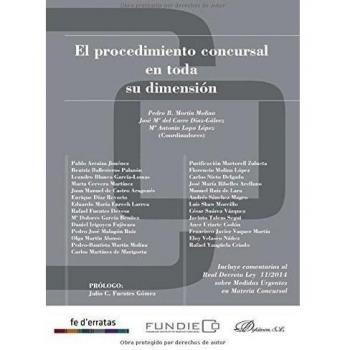 Procedimiento concursal en toda su dimensión,El