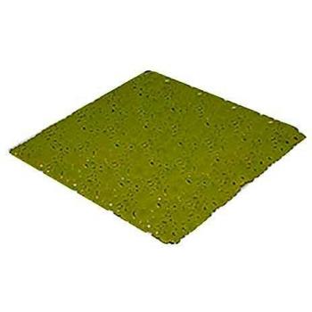Tendance - Alfombrilla de ducha antideslizante de 50 x 50 cm, color verde