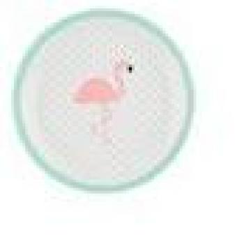 'moderna Platos de papel Tropical Flamingo – 8 unidades, en pack – Diámetro 22,5 cm
