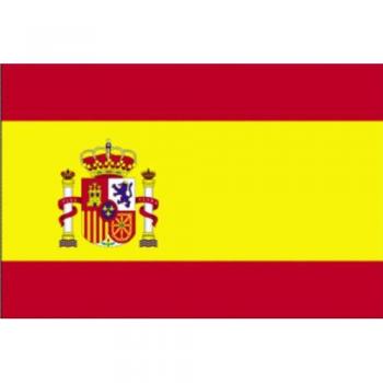 Bandera de España con El Cid