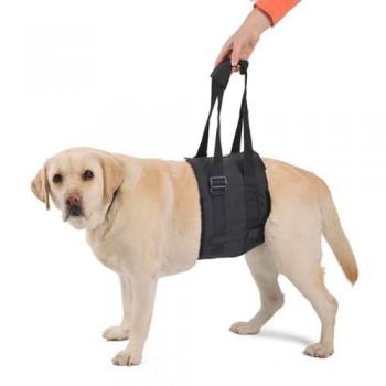 Arnés de Rehabilitación Ortocanis para Perros - Banda de Ayuda para Movilidad en Patas Traseras, Talla L