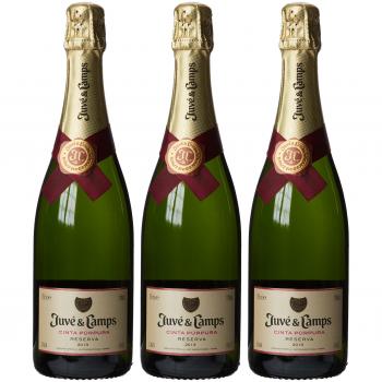 Juvé & Camps | Cava Reserva Brut Púrpura | 1 botella de 75 cl | Macabeo, Xarel·lo, Parellada
