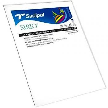 Sadipal 7318 - Pack 10 hojas de cartulina, 170 g, A4, color blanco