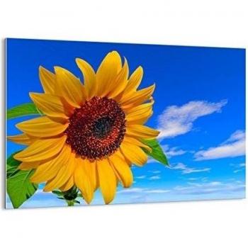 Cuadro sobre vidrio - Cuadro de cristal - de una sola pieza - Ancho: 70cm, Altura: 50cm - Foto número 0949 - listo para colgar - Pinturas en vidrio - impresiones sobre vidrio - Cuadro en vidrio - GAA70x50-0949