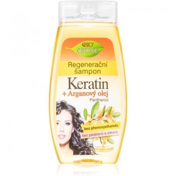 Champú Regenerador de Queratina y Aceite de Argán con Pantenol 260ml
