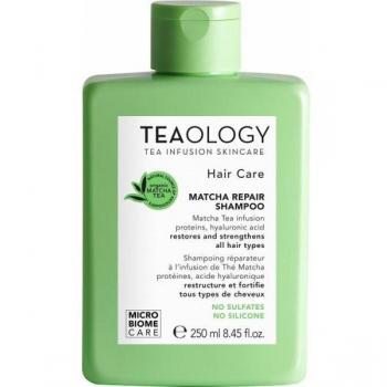 Teaology Hair Matcha Repair Shampoo Strengthening Shampoo 250 ml