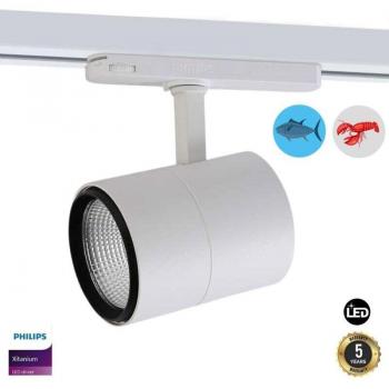 Proyector LED Trifásico 30W Especial para Pescado y Marisco - Blanco