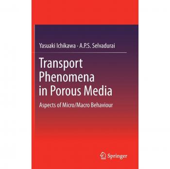 Transport Phenomena in Porous Media: Micro/Macro Behavior Insights