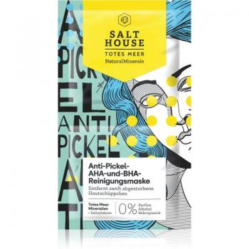 Salt House Natural Minerals Anti-pimple AHA and BHA Cleansing Mask 2x6 ml