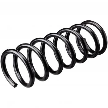 Muelle de suspensión LESJÖFORS 4227593 Triscan 8750 16051 con características de alta resistencia, diseño optimizado para un rendimiento superior en vehículos, fabricado con materiales de calidad para garantizar durabilidad y estabilidad