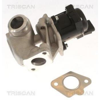 Válvula EGR TRISCAN 8813 10018